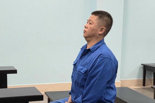Lừa làm sổ đỏ 'giá' 700 triệu đồng/sổ, lãnh án 14 năm tù