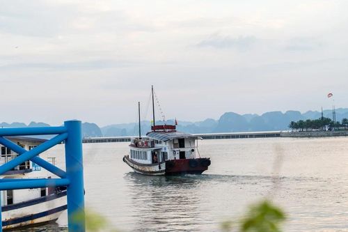 Chưa có lệnh cấm biển, tàu du lịch vịnh Hạ Long đã 'rủ nhau' đi tránh bão