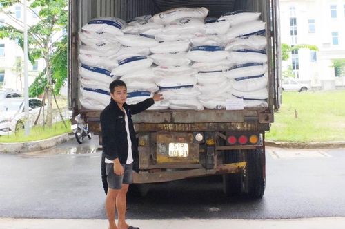 Bắt tạm giam Bùi Xuân Trọng để làm rõ vụ vận chuyển trái phép 40 tấn đường cát