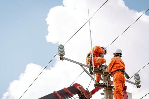 Công ty Điện lực Nghệ An tăng cường công tác giải phóng hành lang an toàn lưới điện, giảm tổn thất điện năng