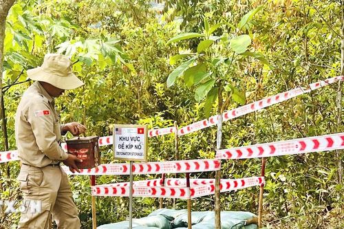 Câu chuyện hàn gắn giữa Việt Nam-Hoa Kỳ: Bằng chứng sức mạnh của lòng bao dung