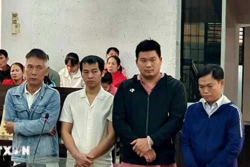 Đắk Lắk: Án tù đích đáng cho các đối tượng sử dụng chất cấm để sản xuất giá đỗ