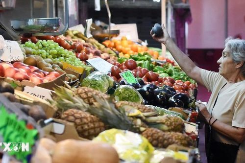 Hoạt động kinh doanh tại Eurozone tăng trưởng nhanh nhất trong 16 tháng