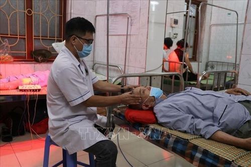 Y học cổ truyền ngày càng 'đắt khách'