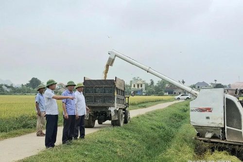 Xã Đồng Tiến: Khẩn trương thu hoạch lúa mùa trước diễn biến bất thường của thời tiết