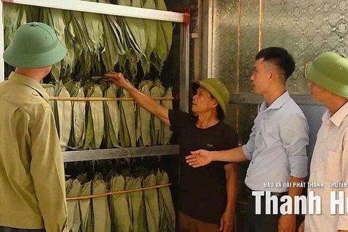 Vân Du khai thác lợi thế, xây dựng vùng nông nghiệp công nghệ cao