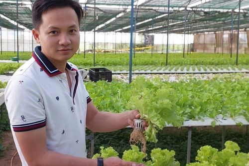 Nguyễn Nam Phong: Từ đam mê trồng rau sạch đến nông dân Việt Nam xuất sắc