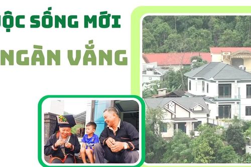 Cuộc sống mới ở Ngàn Vắng