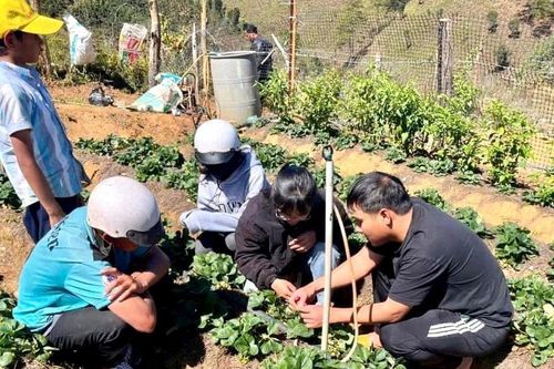 Những đảng viên trẻ lan tỏa khát vọng cống hiến