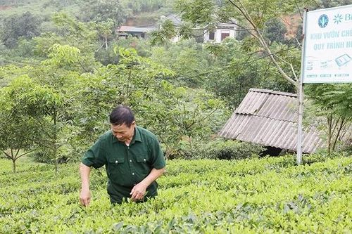 Lan tỏa phong trào thi đua yêu nước
