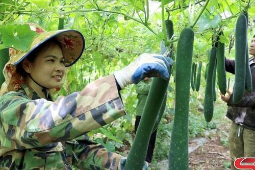 Phát huy mọi nguồn lực xây dựng nông thôn mới