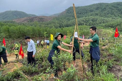 Lồng ghép bảo vệ môi trường để phát triển các đô thị xanh