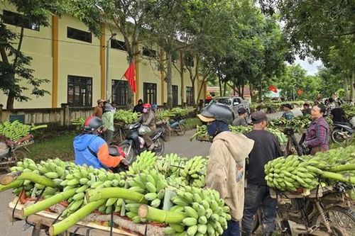 Cận cảnh chợ chuối Tân Long ở địa điểm tạm sau vụ tai nạn giao thông 3 người chết