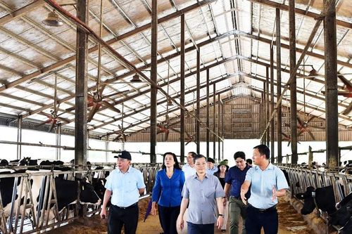 Hội đồng nhân dân tỉnh Tuyên QuangKhông ngừng đổi mới, tiếp tục xây dựng chính quyền vững mạnh