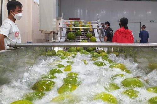 HTX giải bài toán nhân sự chuyên nghiệp