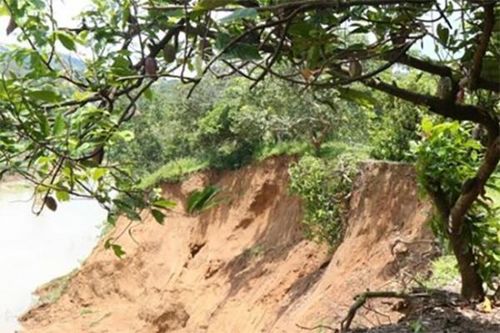 Sống bất an bên sông Đồng Nai