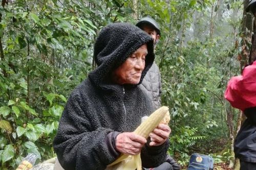 Cụ ông 78 tuổi sống sót kỳ diệu trong rừng sau 6 ngày đi lạc