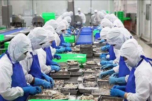 Hơn 98% doanh nghiệp nông sản đạt chuẩn an toàn thực phẩm
