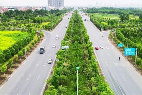 Chuẩn hóa hệ thống cây xanh đô thị ở Hà Nội