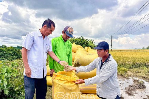 Nhiệm kỳ mới - Niềm tin và kỳ vọng