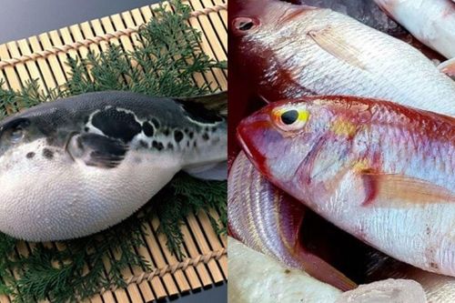 Mối nguy gắn liền với loài (thủy sản, động vật trên cạn, thực vật trên cạn) và tác hại của chúng