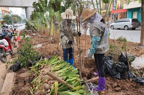 Phát triển không gian xanh, đưa Hà Nội thành đô thị đáng sống