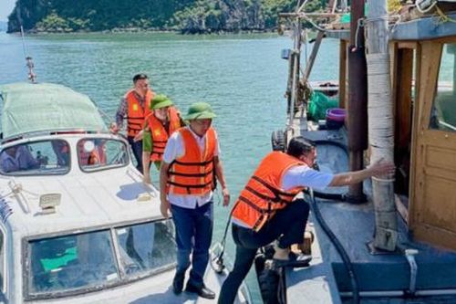 Quảng Ninh: Quyết tâm không để xảy ra thiệt hại về người khi bão số 9 đổ bộ vào đất liền