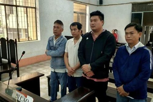 Dùng hóa chất để sản xuất giá đỗ, 4 bị cáo lĩnh án tù