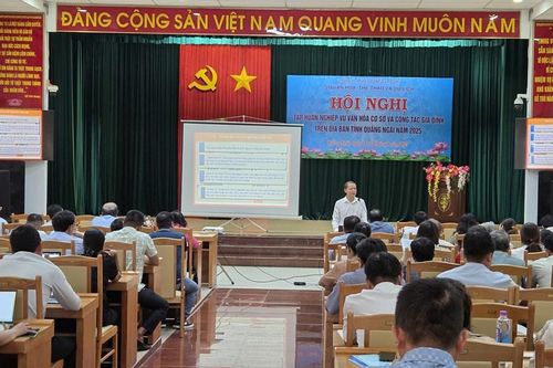Quảng Ngãi tập huấn Nghiệp vụ Văn hóa cơ sở và công tác gia đình