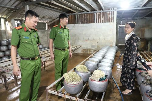 Phát hiện cơ sở dùng 'nước kẹo' sản xuất giá đỗ ở Hà Tĩnh