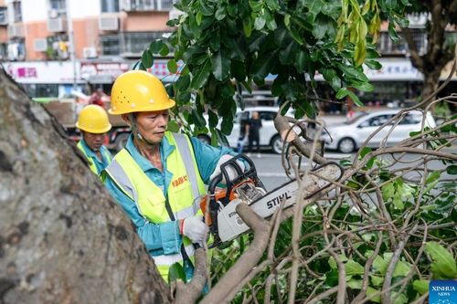 14 người thiệt mạng, 18 người bị thương do bão Ragasa tại Đài Loan (Trung Quốc)