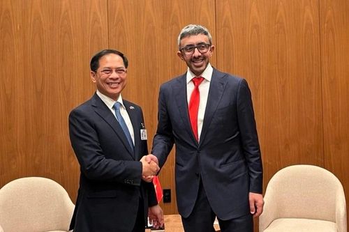 Việt Nam là một trong những đối tác thương mại và đầu tư quan trọng của UAE tại Đông Nam Á