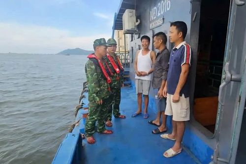 Hơn 500 tàu, thuyền của phường Móng Cái 1 đã vào nơi tránh trú bão an toàn