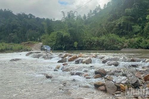 Những người ở lại núi rừng