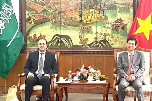 Việt Nam-Saudi Arabia tăng cường hợp tác văn hóa, thể thao và du lịch