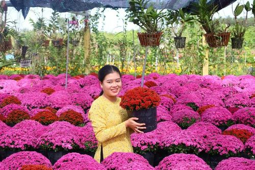 Festival Hoa – Kiểng Sa Đéc 2025 sẽ trưng bày 1.000 giống hoa