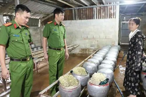Dùng 'nước kẹo' sản xuất giá số lượng lớn