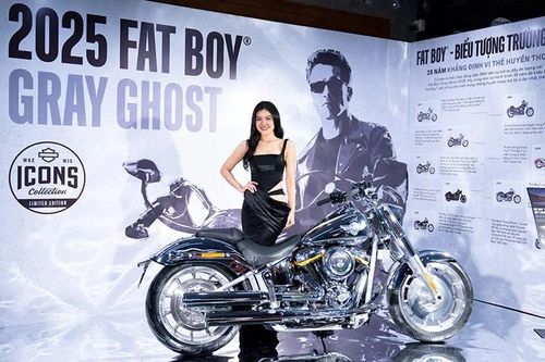 'Thằng béo' Harley-Davidson Fat Boy Gray Ghost hơn 1,5 tỷ tại Việt Nam