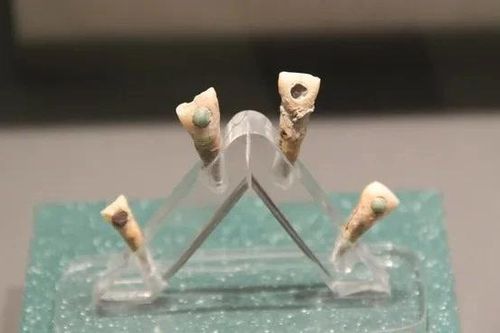 Tìm thấy trẻ em Maya 7 tuổi có ngọc răng xanh biếc kỳ lạ