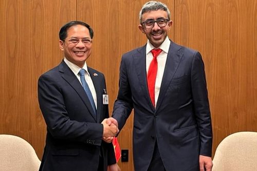 UAE đề xuất tăng cường hợp tác lao động, đào tạo nguồn nhân lực chất lượng cao với Việt Nam