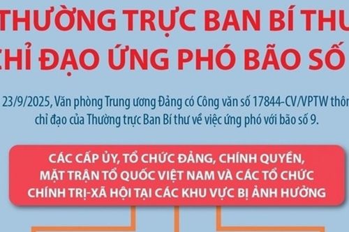 Thường trực Ban Bí thư chỉ đạo ứng phó với bão số 9
