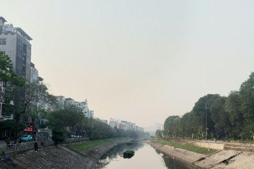Hà Nội: Phát triển cây xanh là bảo vệ môi trường cho thế hệ tương lai