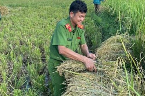 Công an xã miền núi Thanh Hóa giúp dân gặt lúa 'chạy bão' Ragasa