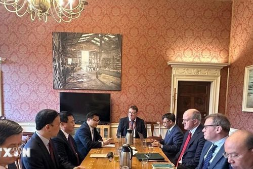 Việt Nam và Anh, Ireland tăng cường hợp tác đổi mới sáng tạo, giáo dục