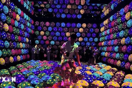 Trải nghiệm thế giới kỳ ảo trong 'thiên đường ánh sáng' ở thủ đô Nhật Bản