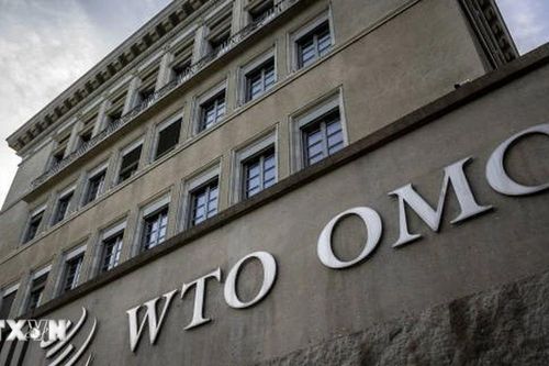 Trung Quốc đưa ra tuyên bố quan trọng, thúc đẩy nỗ lực cải cách WTO