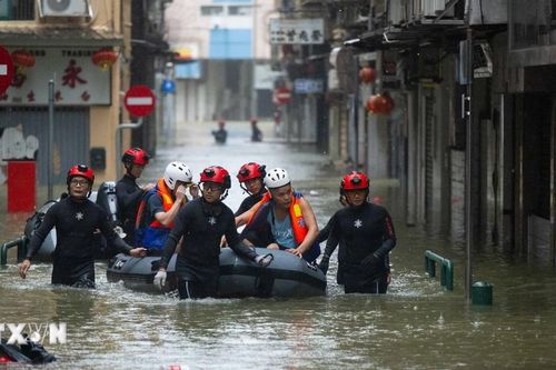 Sức tàn phá khủng khiếp của siêu bão Ragasa: Hong Kong tê liệt, Đài Loan thương vong tăng