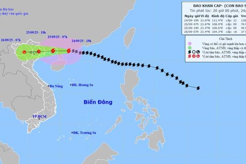 Ứng phó bão số 9: Hà Nội yêu cầu trường học không tổ chức hoạt động ngoại khóa