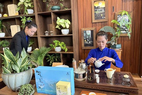Văn hóa trà mở lối phát triển du lịch cao cấp cho TP Hồ Chí Minh và Lâm Đồng