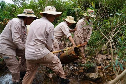 Xử lý thành công quả bom nặng hơn 240 kg tại Quảng Trị